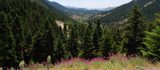 Πρωινή φαντασία